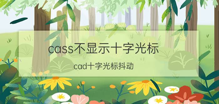 cass不显示十字光标 cad十字光标抖动？